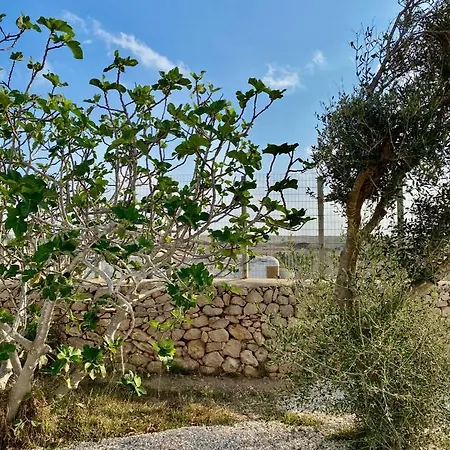Misangi Holiday home
